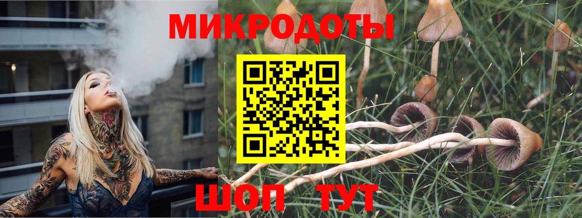 Псилоцибиновые грибы мухоморы Можга