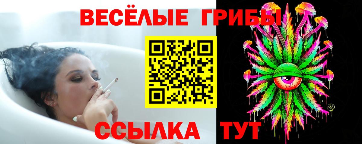 Псилоцибиновые грибы мицелий  Вход с VPN  Галлюциногенные грибы мицелий  Можга 